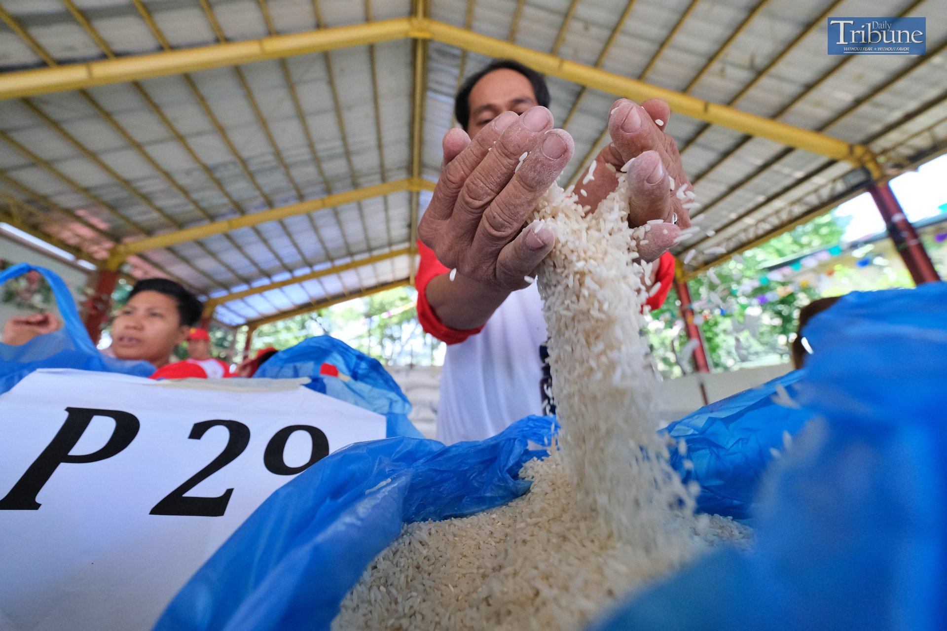 Consumers can still benefit from 'Program 29,' which offers rice at P29 per kilo to vulnerable households at government-run KADIWA Centers. Shoppers are seen buying products from the KADIWA Center at the Bureau of Plant Industry in Manila on Saturday, 3 August 2024. Recently, the Department of Agriculture announced that KADIWA Centers will now sell rice at P45 per kilo under the new 'Rice-for-All' program.