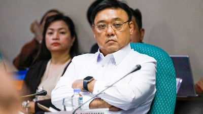 Harry Roque