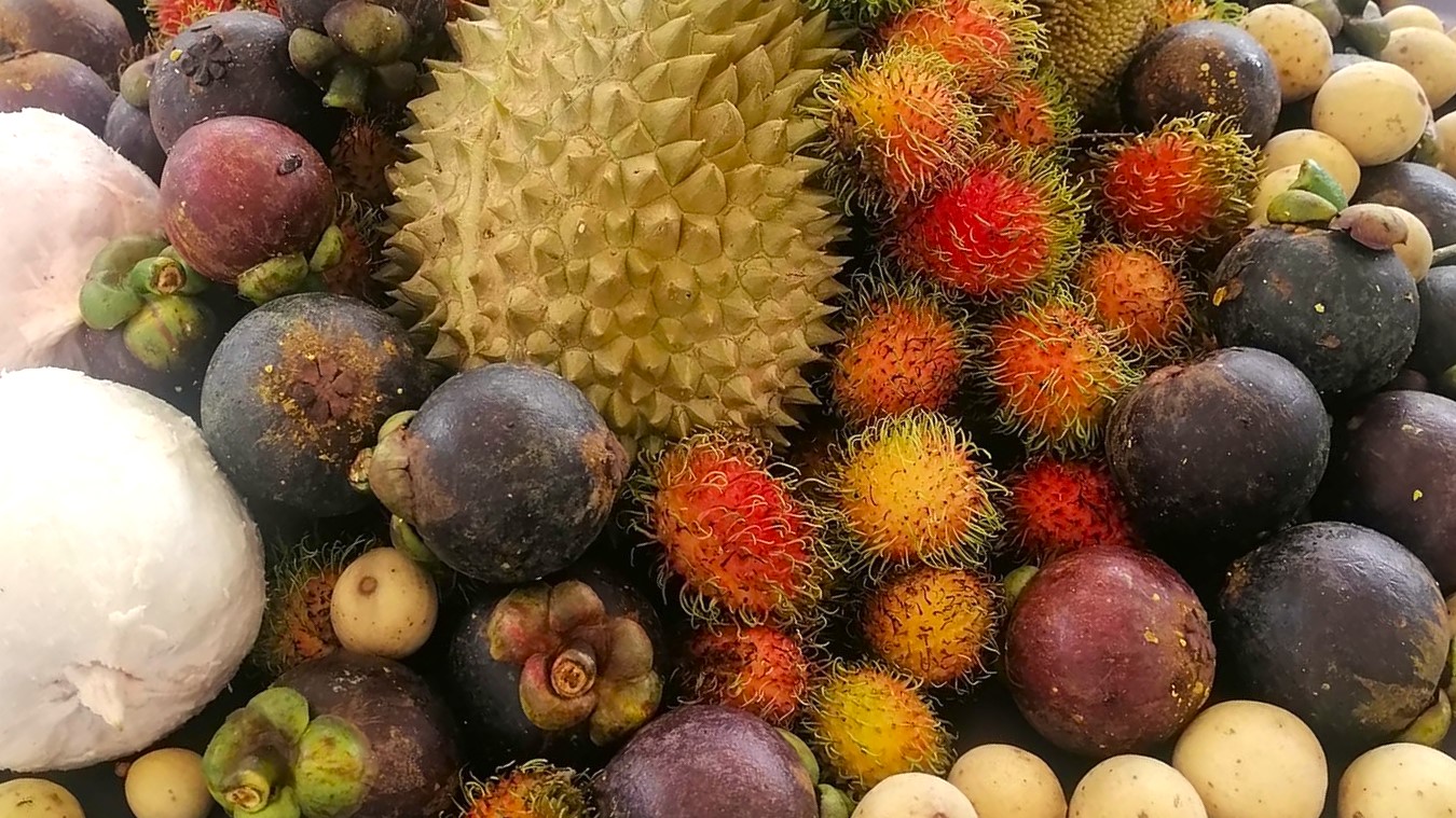 fruits