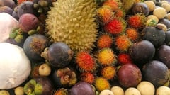 Eat-all-you-can fruits to highlight Kidapawan Fest