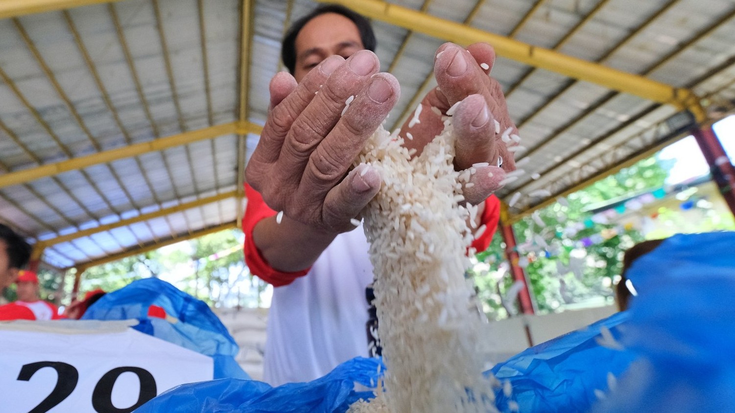 NIA VII sells 'BBM rice' for P29/kg