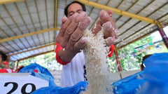 NIA VII sells 'BBM rice' for P29/kg