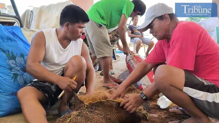 TRIBUNE-coconut-fibers-oilspill-boom-making