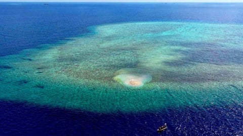 Senators laud signing of laws on maritime zones, sea lanes