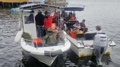 Undocumented aliens face raps