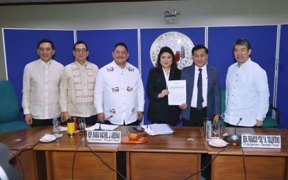 Senate ratifies proposed Archipelagic Sea Lanes Law

