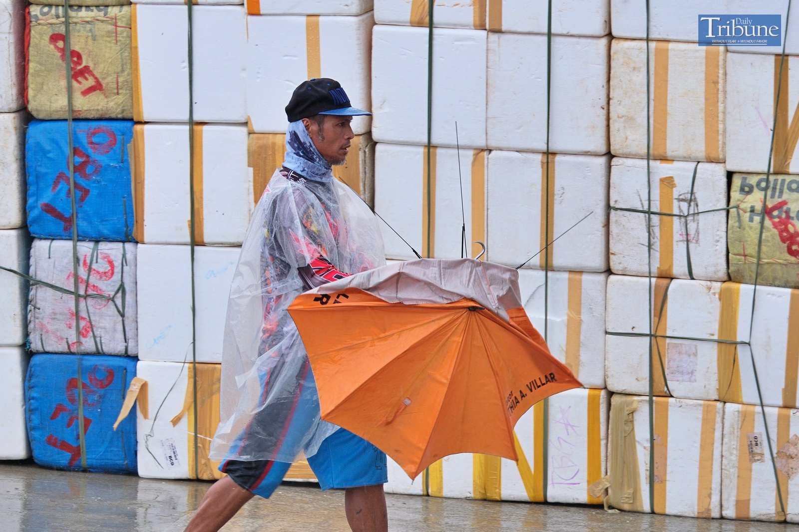 TRIBUNE-man-with-umbrella