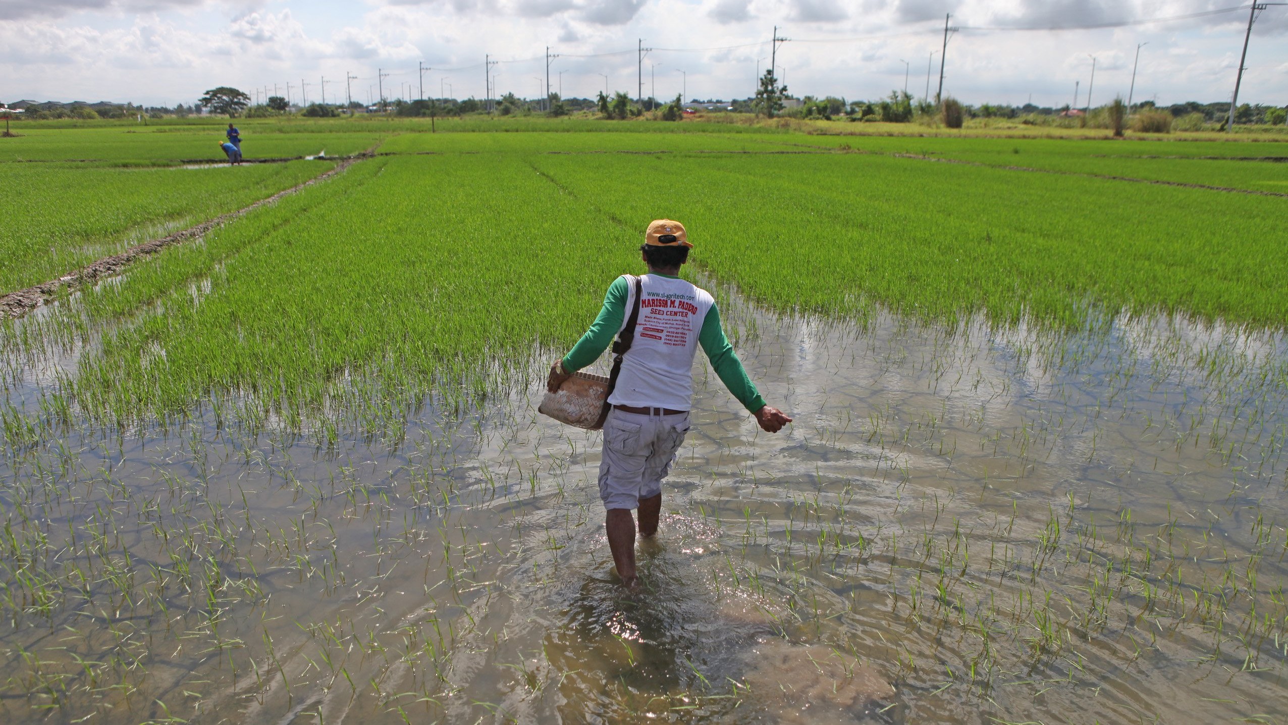 PNP vows zero tolerance for profiteering amid farm losses
