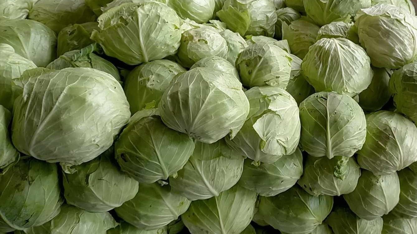 DA eyes alerts to head off vegetable price crash