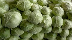 DA eyes alerts to head off vegetable price crash