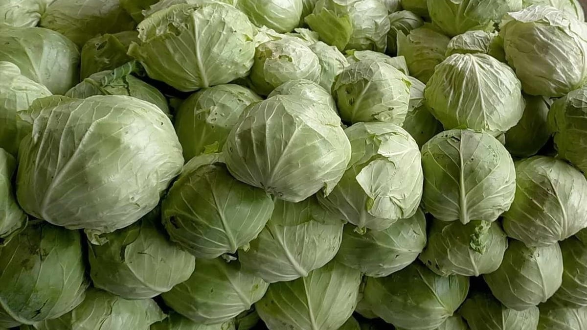 vegetables