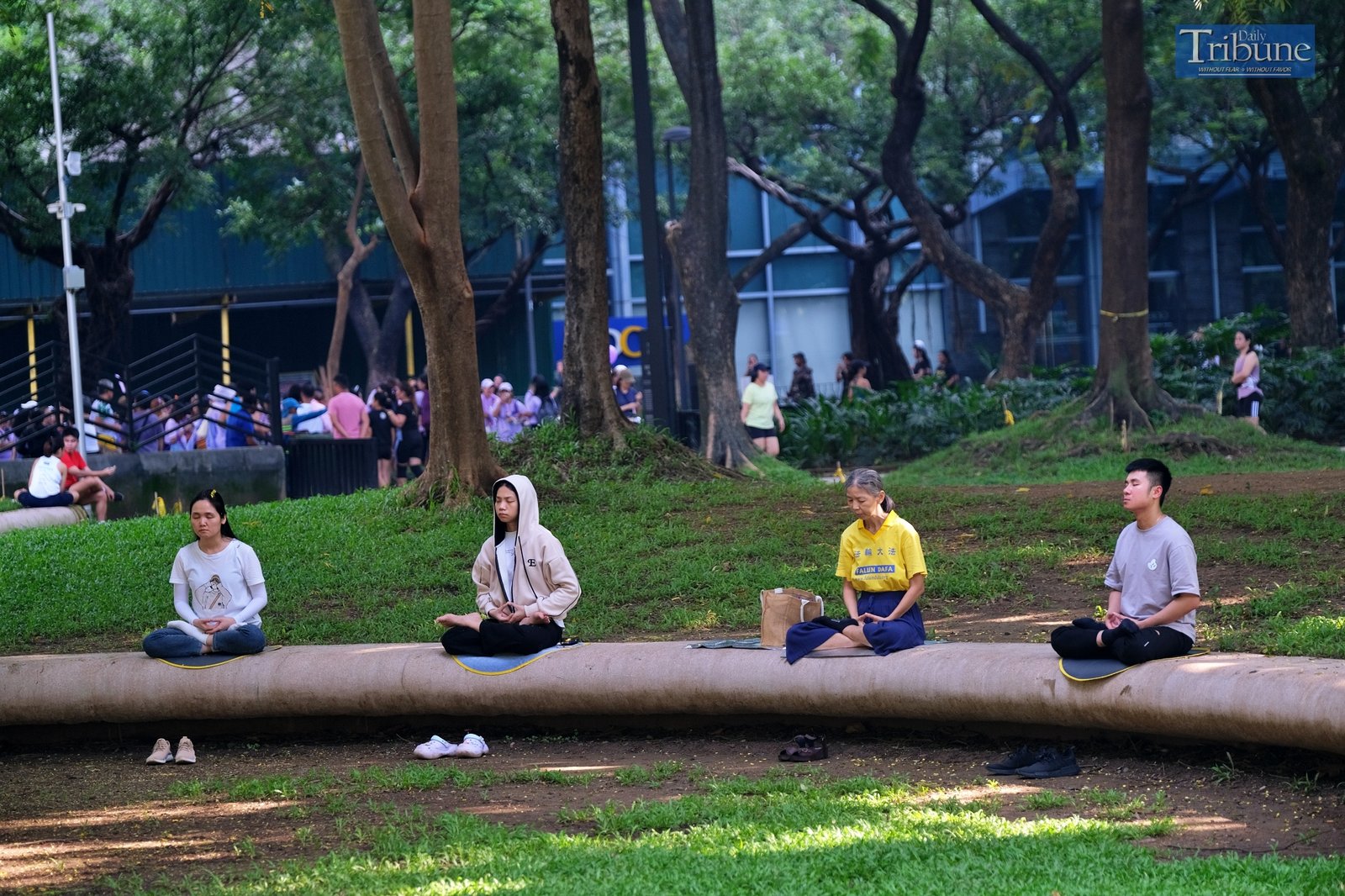 TRIBUNE-group-meditating