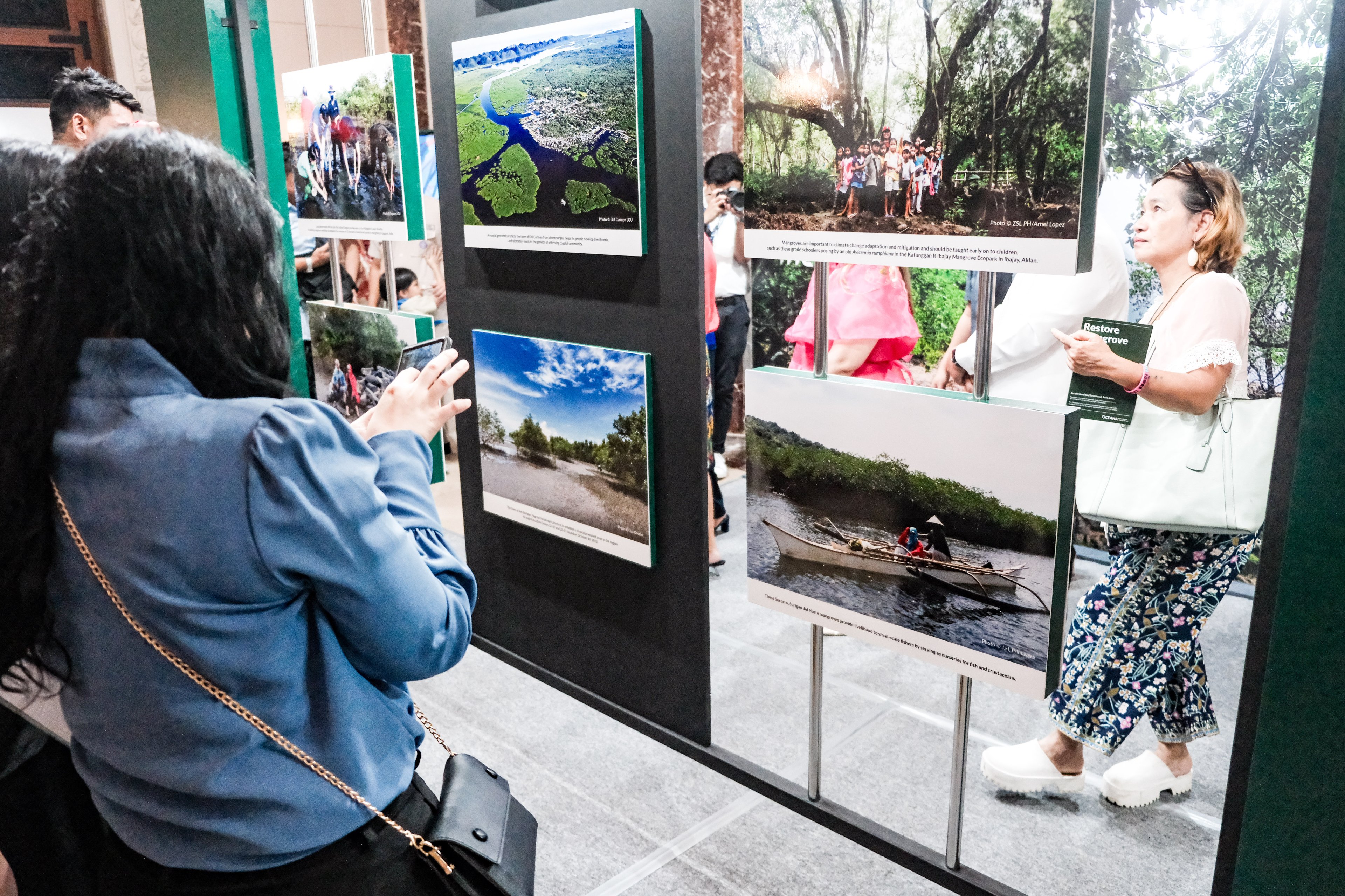 Picture a mangrove forest and how it enables land and sea to merge seamlessly.