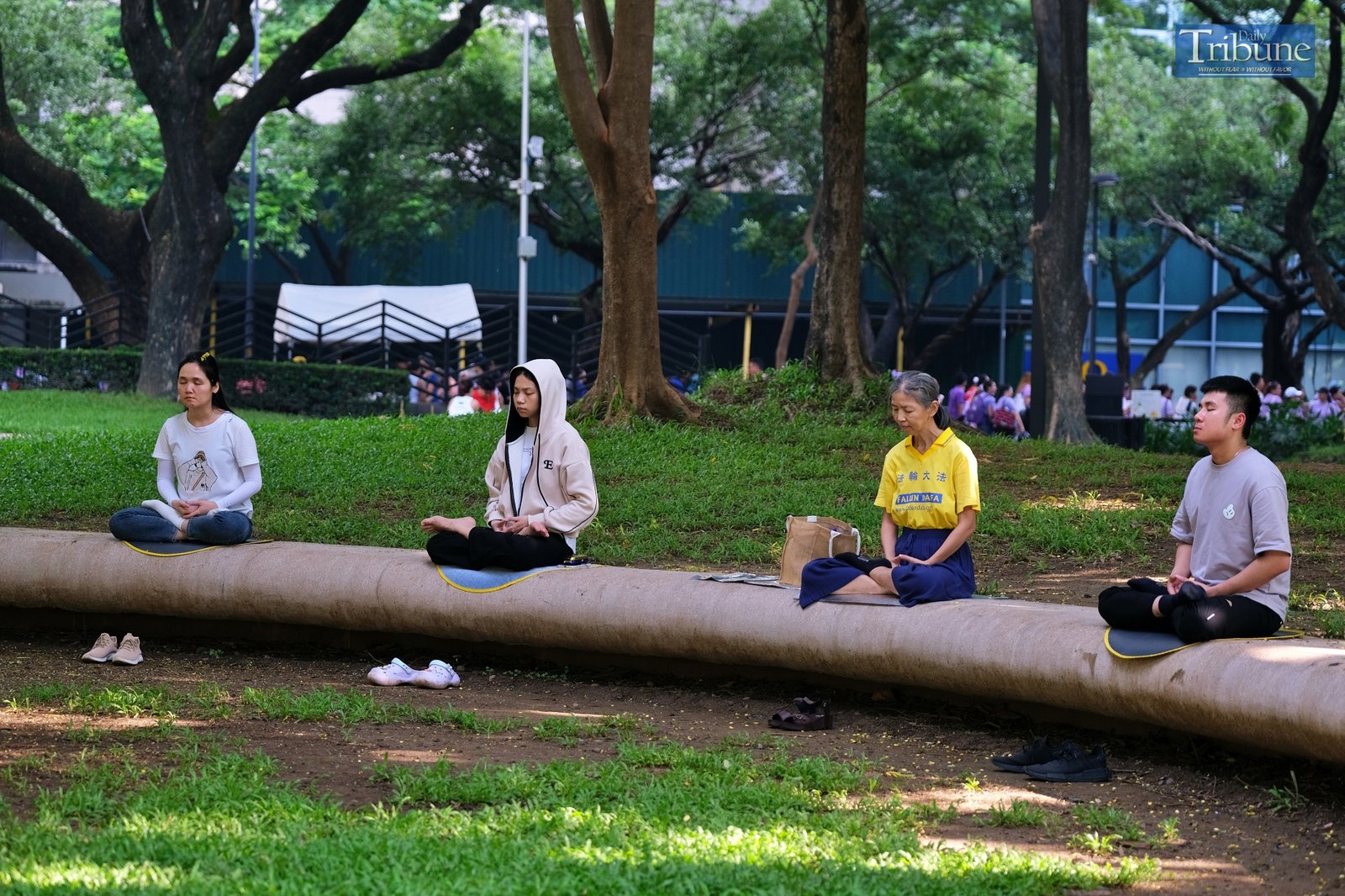 TRIBUNE-group-meditating