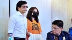 DILG and PNP chiefs' controversial trip for fugitive Alice Guo questioned