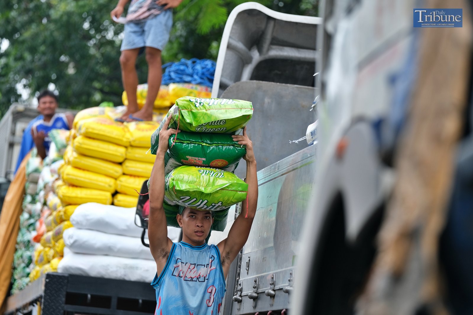 TRIBUNE-men-carrying-sacks