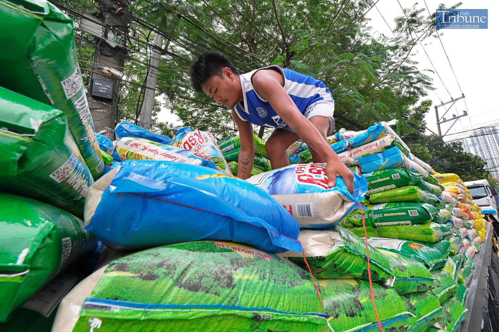TRIBUNE-men-carrying-sacks