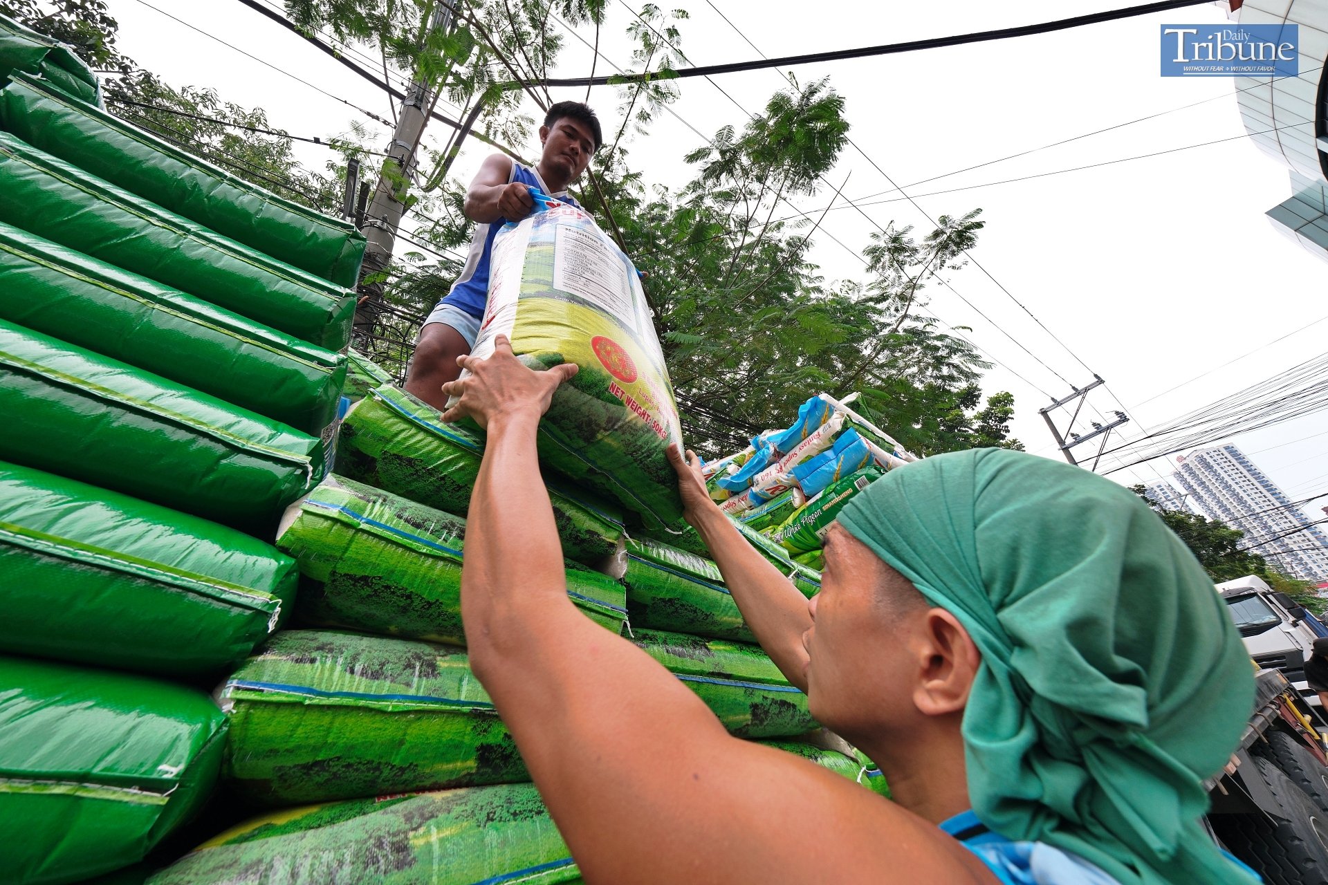 Marcos orders extension of rice import ban to aid farmers