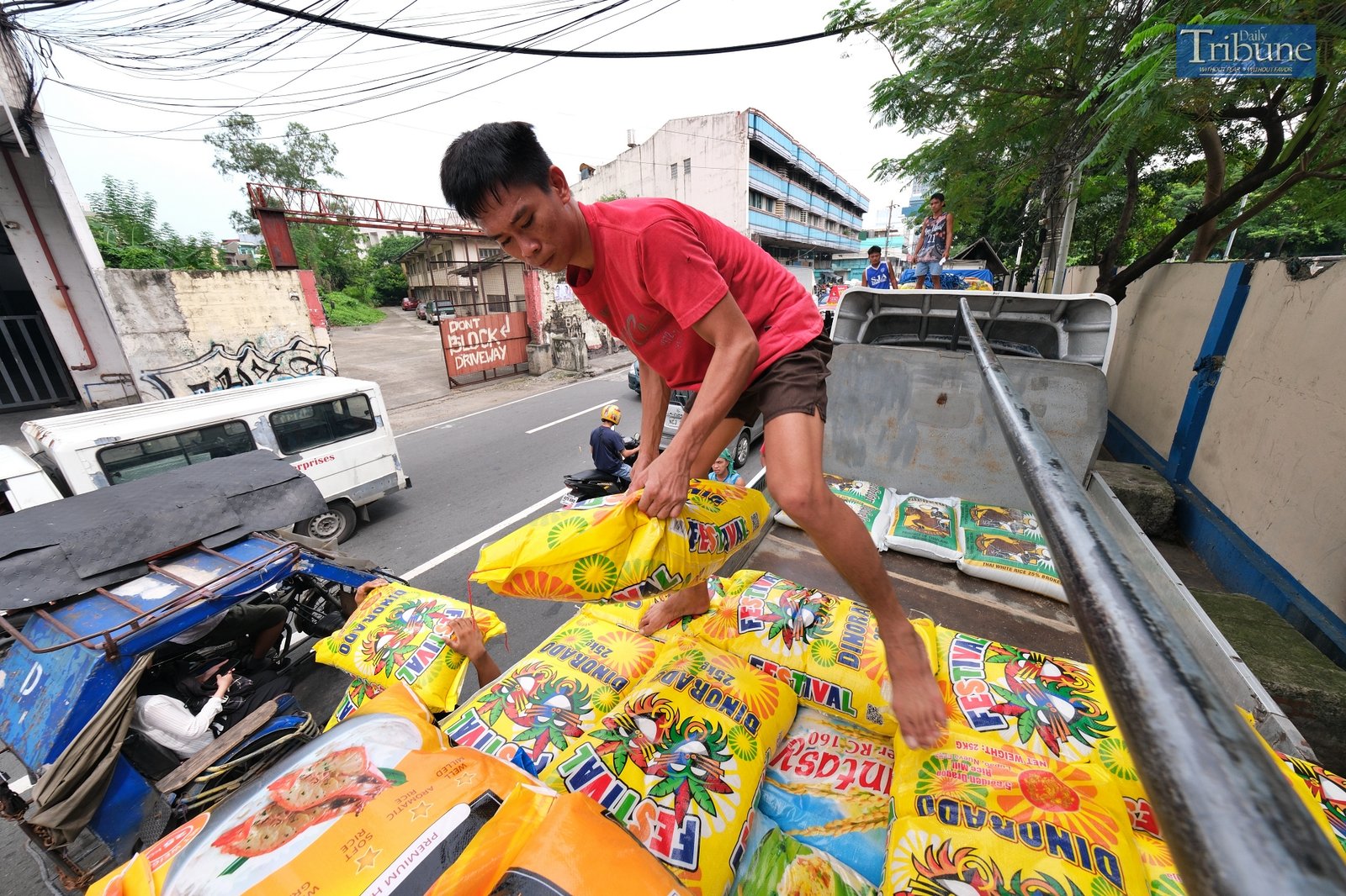 TRIBUNE-men-carrying-sacks