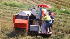 DA awards P96-M in postharvest facilities to Quirino farmers