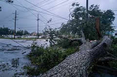 Tropical Storm Francine batters US state of Louisiana