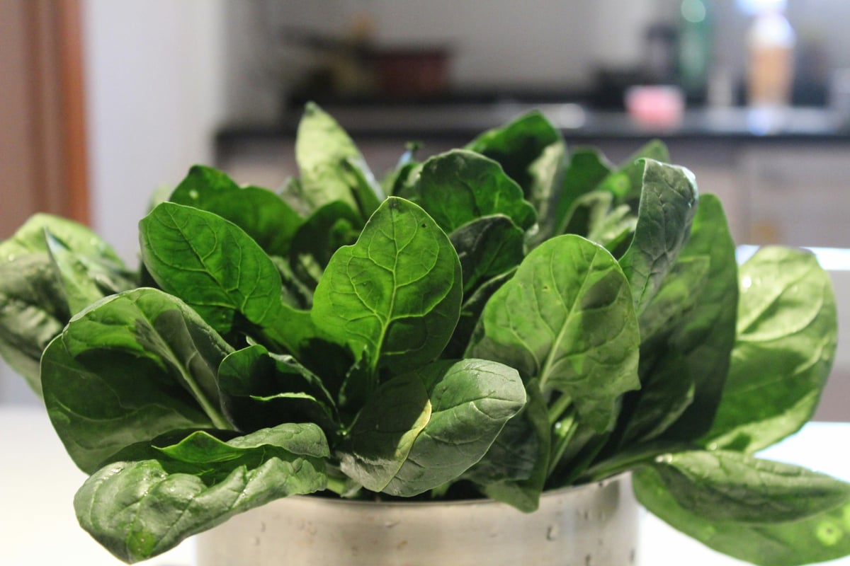 LEAFY vegetables.