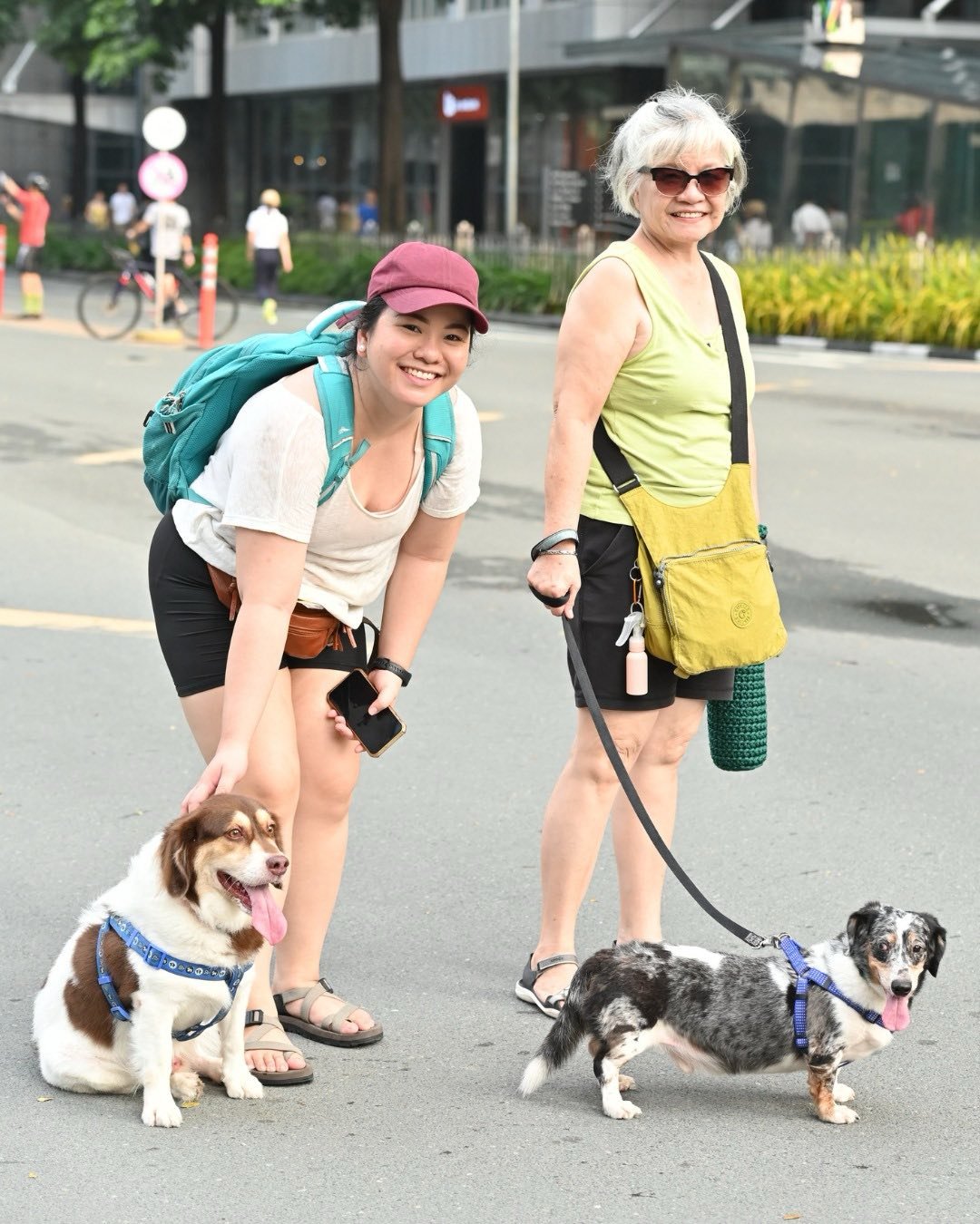 PET owners walking their beloved companions.