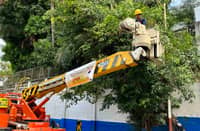 ENSURING SAFETY OF THE LEARNERS. Meralco linecrew helps in trimming the branches of the trees to keep them away from the power lines and avoid any untoward incidents.