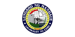 Mandaue ranks 2nd in fiscal independence 