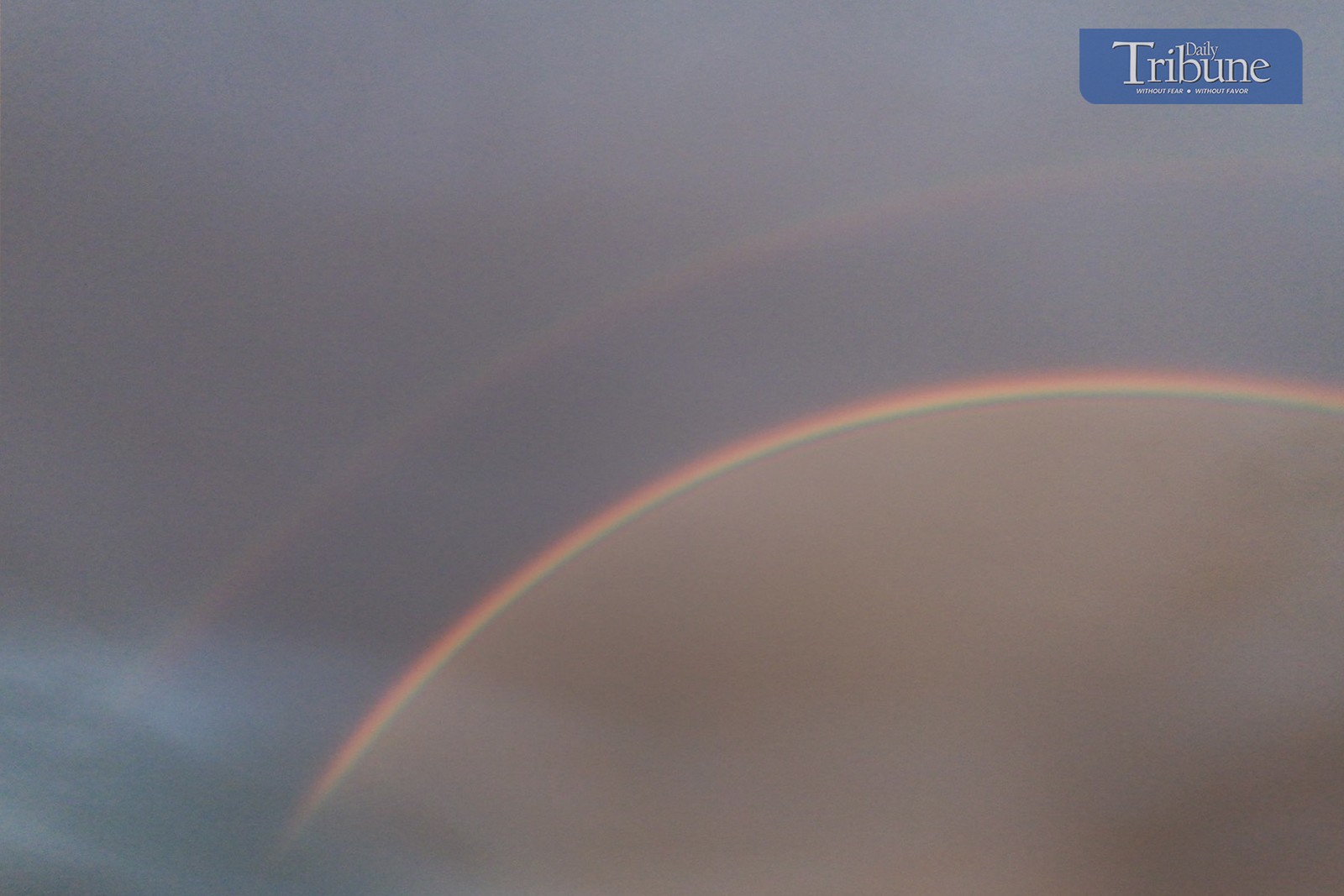 FROM STORMY SKIES TO RAINBOW HIGH