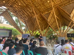 Bamboo: A vital carbon capturing ally
