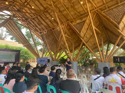 Bamboo: A vital carbon capturing ally 