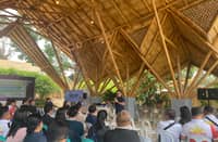 THE Sustainability Slingshot project of Rep. Joeman Alba promotes bamboo cultivation, supports local processing industries and creates livelihoods for farmers and artisans.