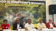 Cheaper rice expected in October — DA chief