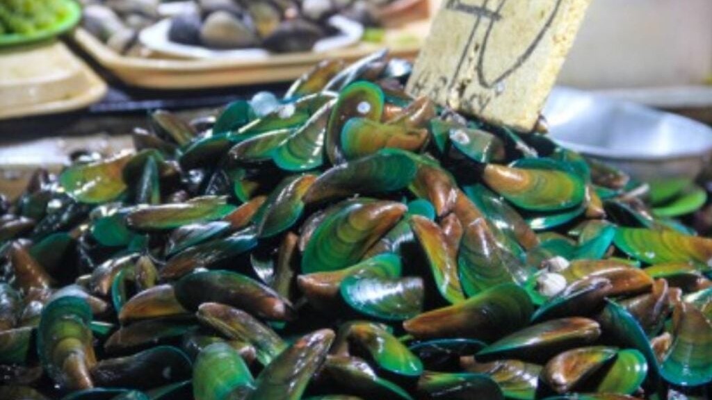 Red tide remains on some VisMin waters — BFAR