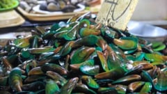 Red tide remains on some VisMin waters — BFAR