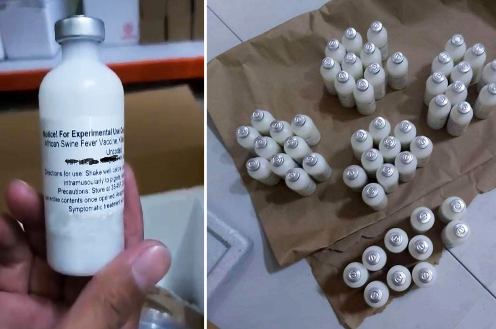 BAI reports mixed ASF vaccine results