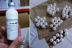 BAI reports mixed ASF vaccine results
