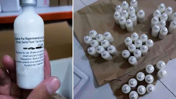 BAI reports mixed ASF vaccine results