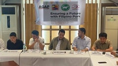 Feed millers report substantial losses in sales from ASF