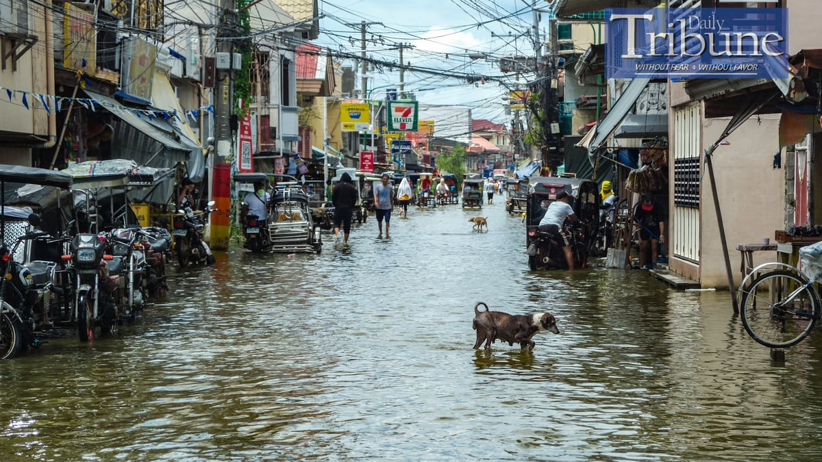 Climate change, education among top concerns of Filipino youth — study