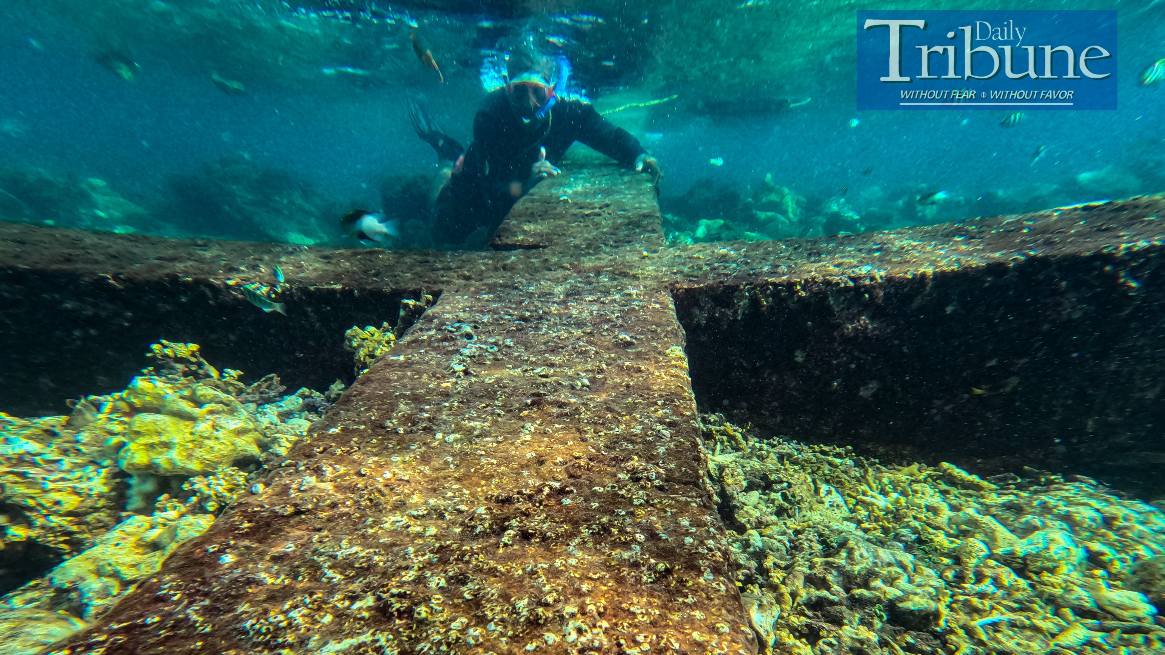 SUNKEN CEMETERY THROUGH SNORKELING