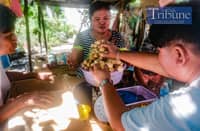 Lanzones in Camiguin