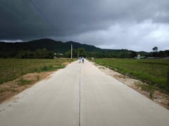 Palawan LGUs get new farm-to-market roads