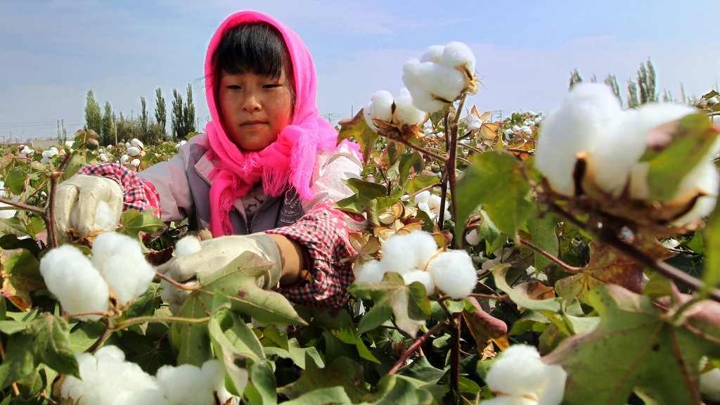 China probes US fashion group over 'unreasonable' Xinjiang boycott