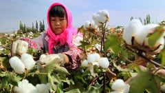 China probes US fashion group over 'unreasonable' Xinjiang boycott