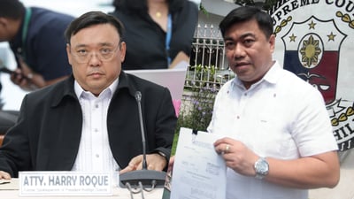 Roque faces disbarment case  
