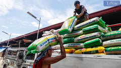 One-month free tolls for agri cargo starts Monday