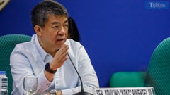 Senate committee discusses bills to strengthen Philippine immigration laws