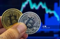 SEC flags unlicensed investment, crypto trading scheme